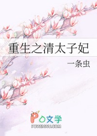 重生之清太子妃
