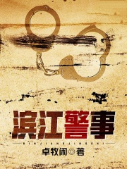滨江警事