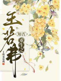知否之王若弗重生