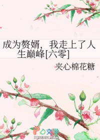 成为赘婿，我走上了人生巅峰[六零]