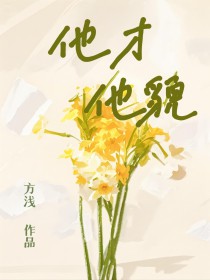 他才他貌