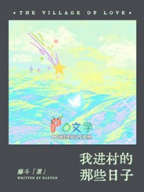 我进村的那些日子