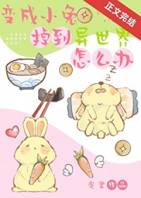 变成小兔掉到异世界怎么办[西幻]