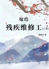 嫁给残疾维修工[八零]