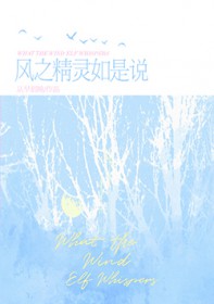 [排球少年] 风之精灵如是说