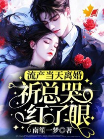 流产当天离婚，祈总哭红了眼