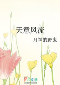 天意风流